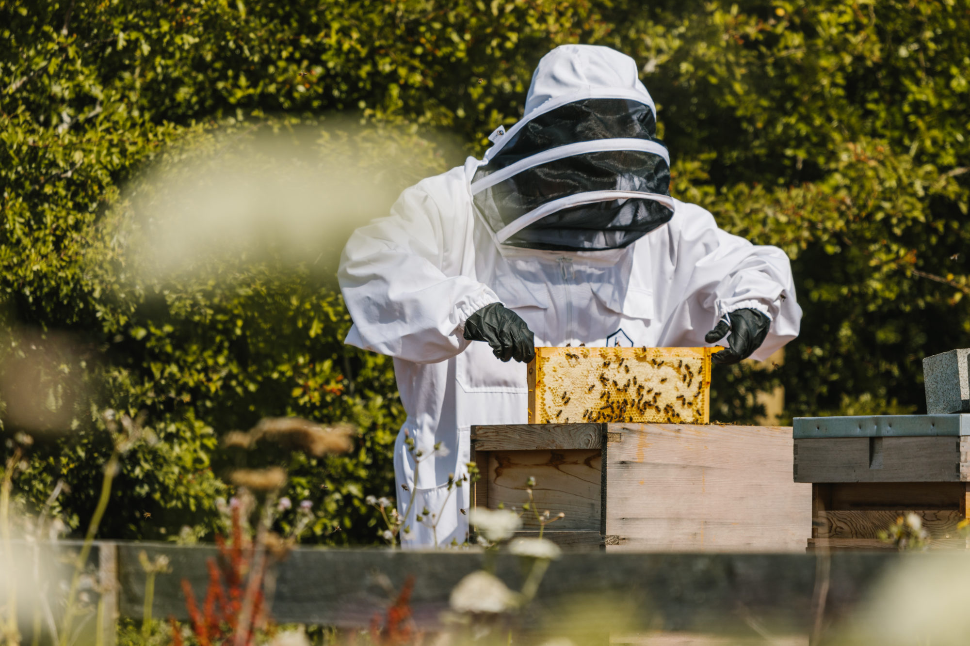 26 – Fairmont -Beekeeper-jpg