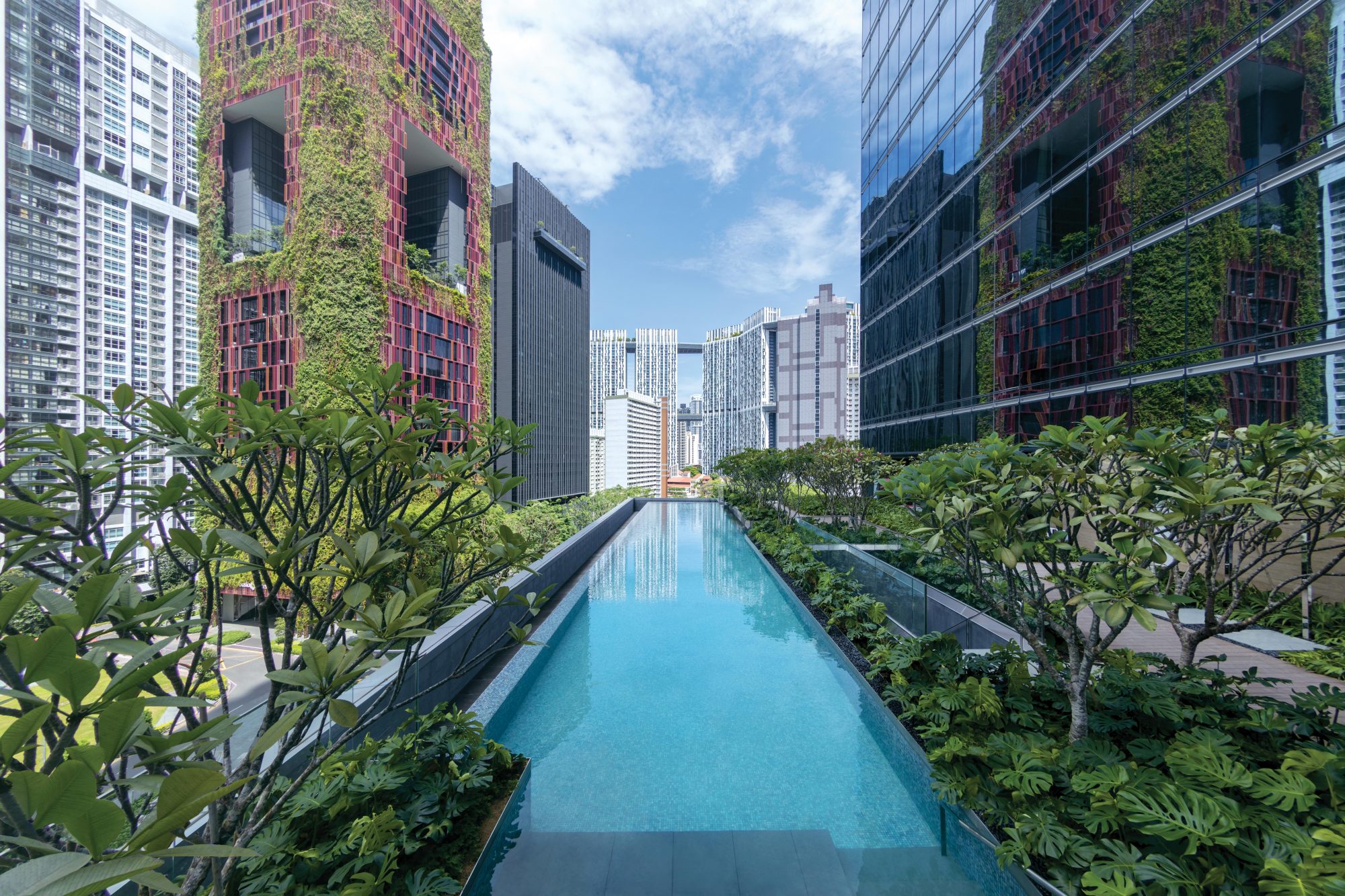 Sofitel Singapore City Centre - Pool-jpg